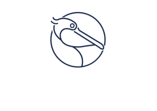 Capital Wealth Management